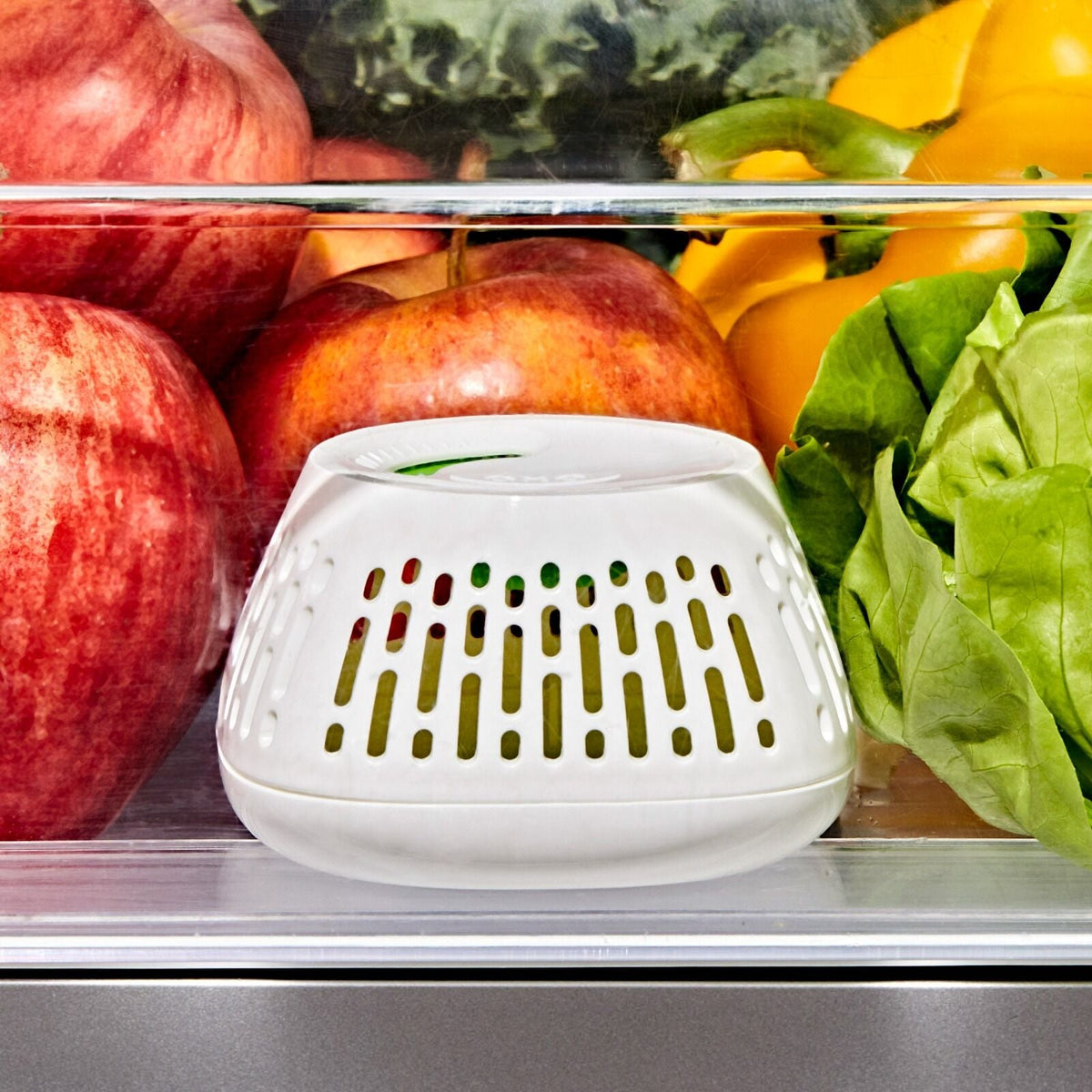 produce-saver-crisper-drawer-insert-2-pack-j7 gg_11427700_greensaver-crisper-drawer-insert_pdp_02.jpeg