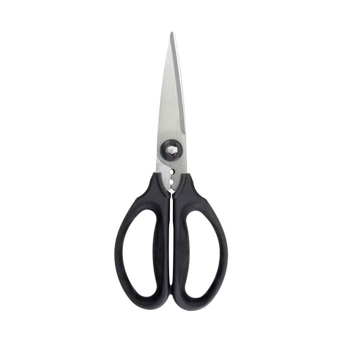 kitchen-and-herb-scissors-e6 1072121V2.jpg
