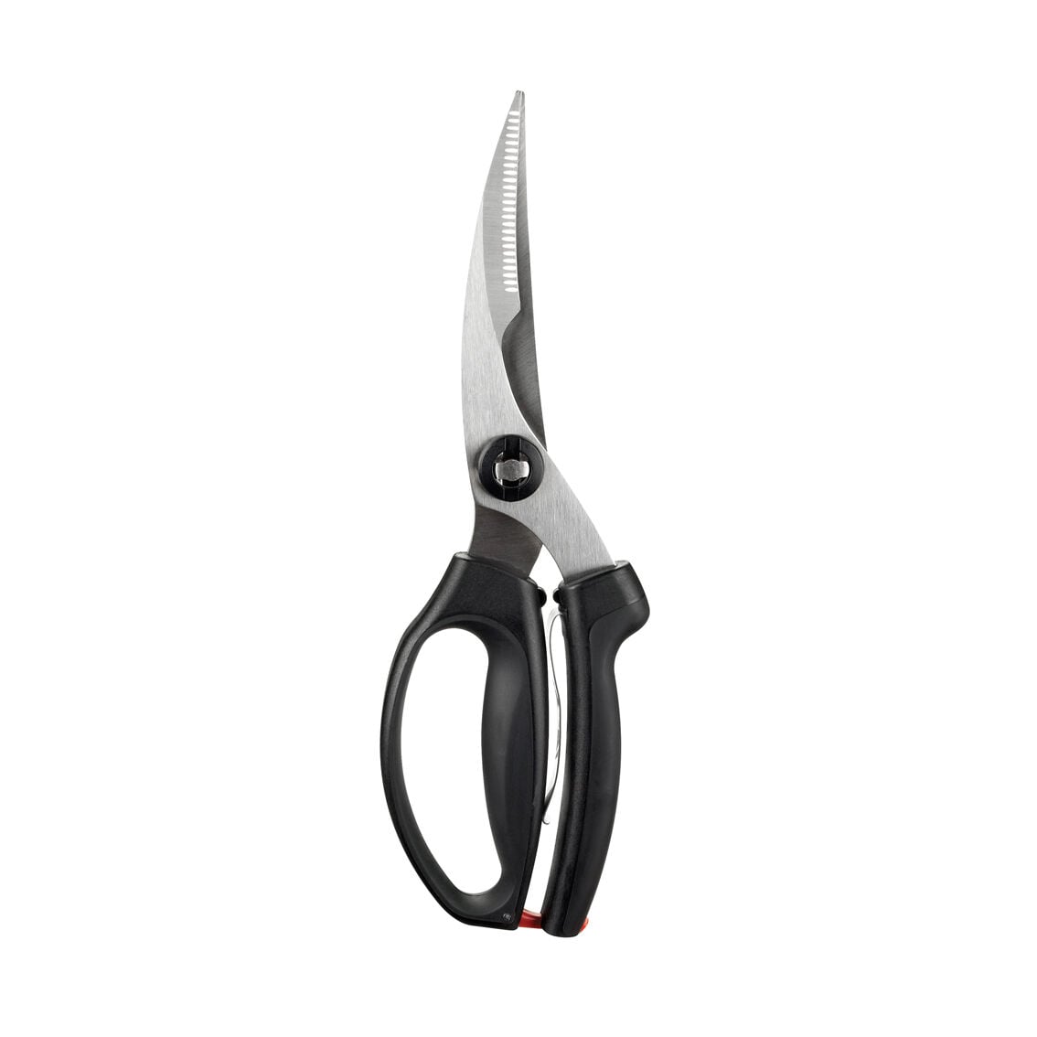 poultry-shears-g5 1072292V3.jpg