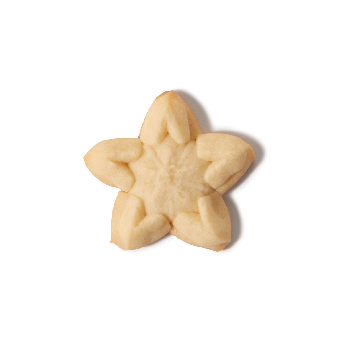 christmas-cookie-press-disk-set-t4 11177800_6_-star.jpg