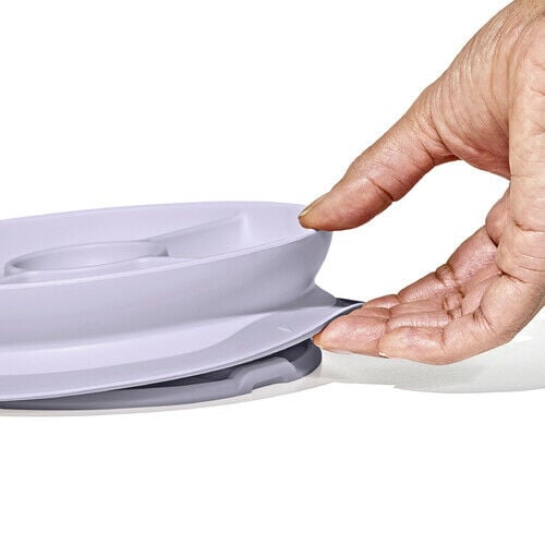 stick-and-stay-suction-divided-plate-c6 1134515a-7af7-4d77-8ad1-4534fbb13d49.jpg