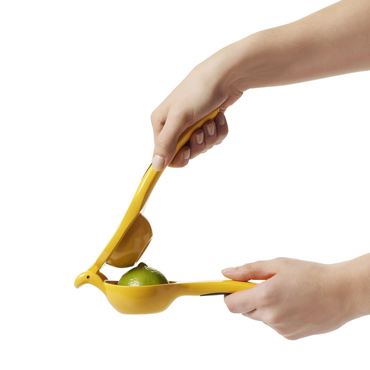 citrus-squeezer-b8 gg_1057962_4a.jpg