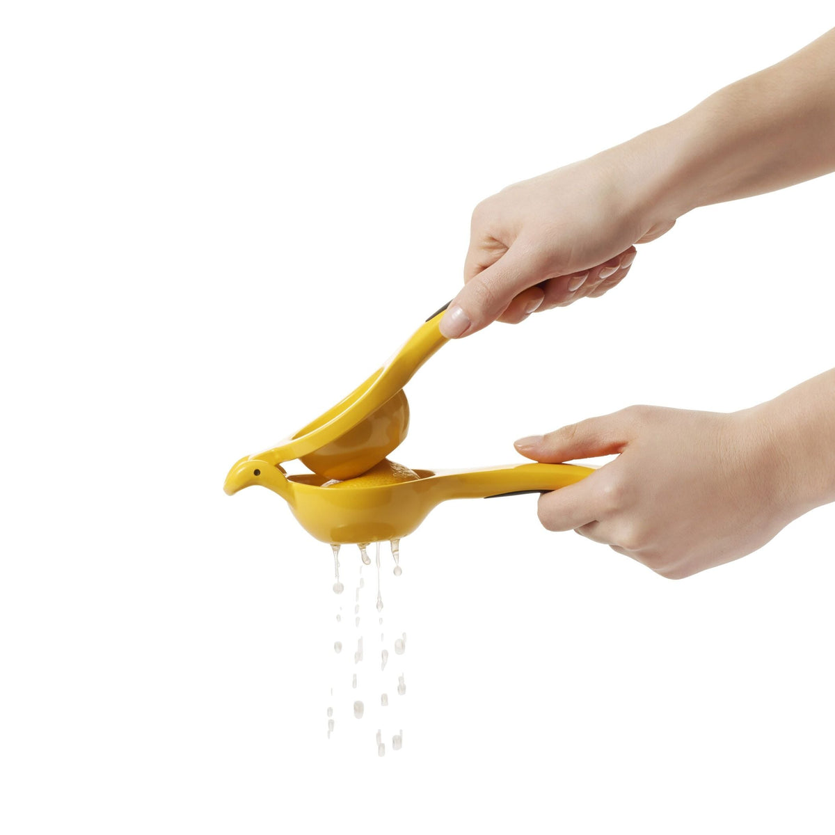 citrus-squeezer-b8 gg_1057962_4b.jpg
