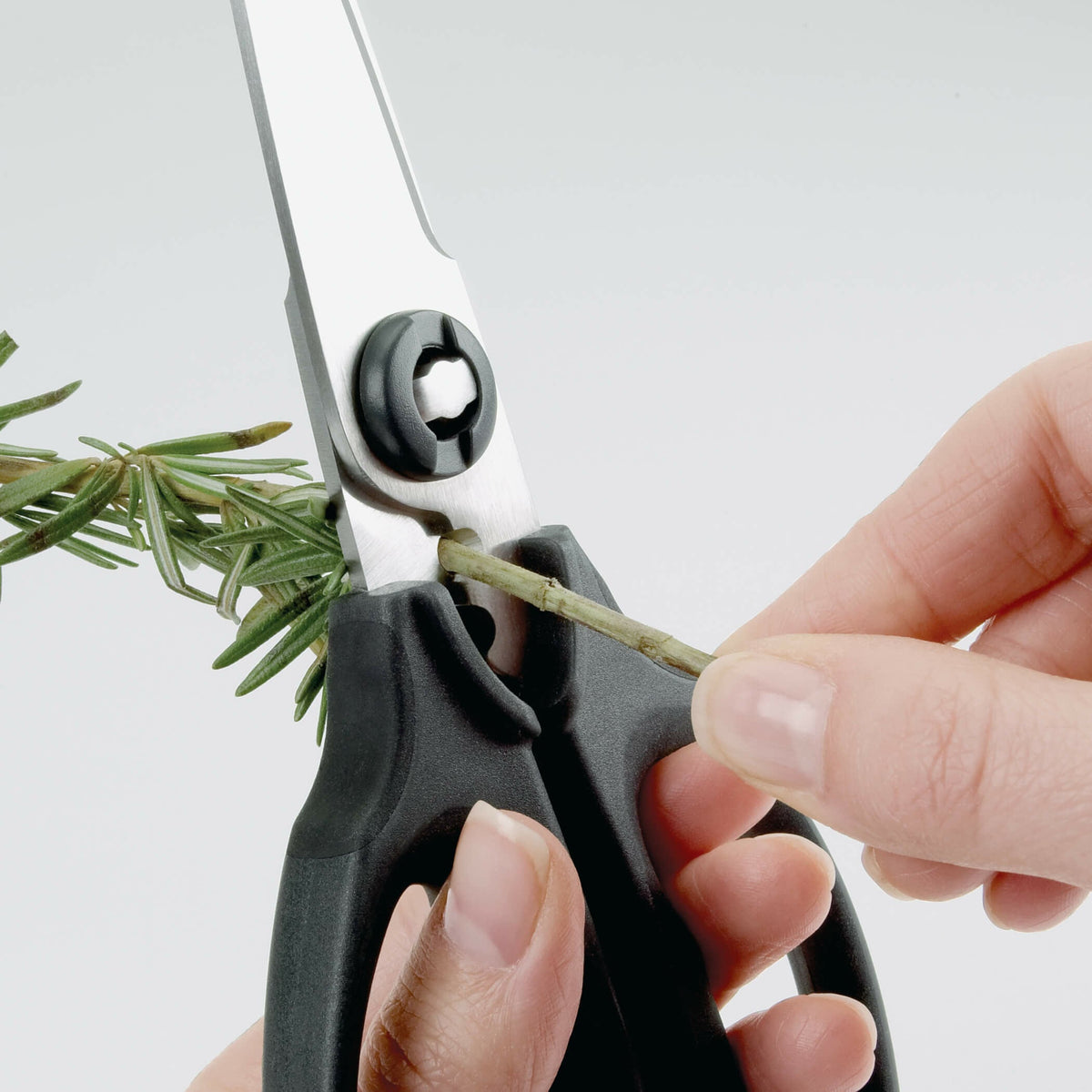 kitchen-and-herb-scissors-e6 gg_1072121_3_1_.jpg