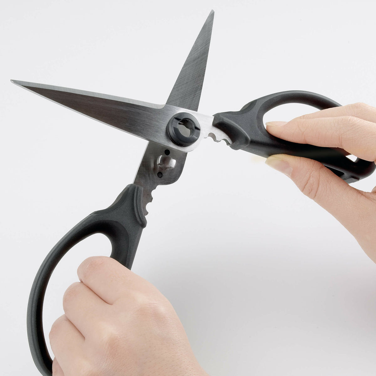 kitchen-and-herb-scissors-e6 gg_1072121_4_1_.jpg