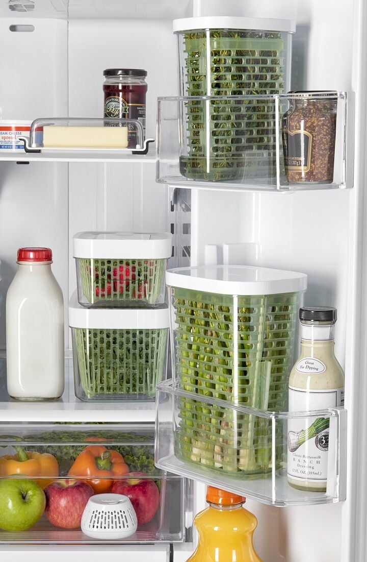 greensaver-standing-crisper-insert-1-pc-i1 gg_111212800_1a.jpg