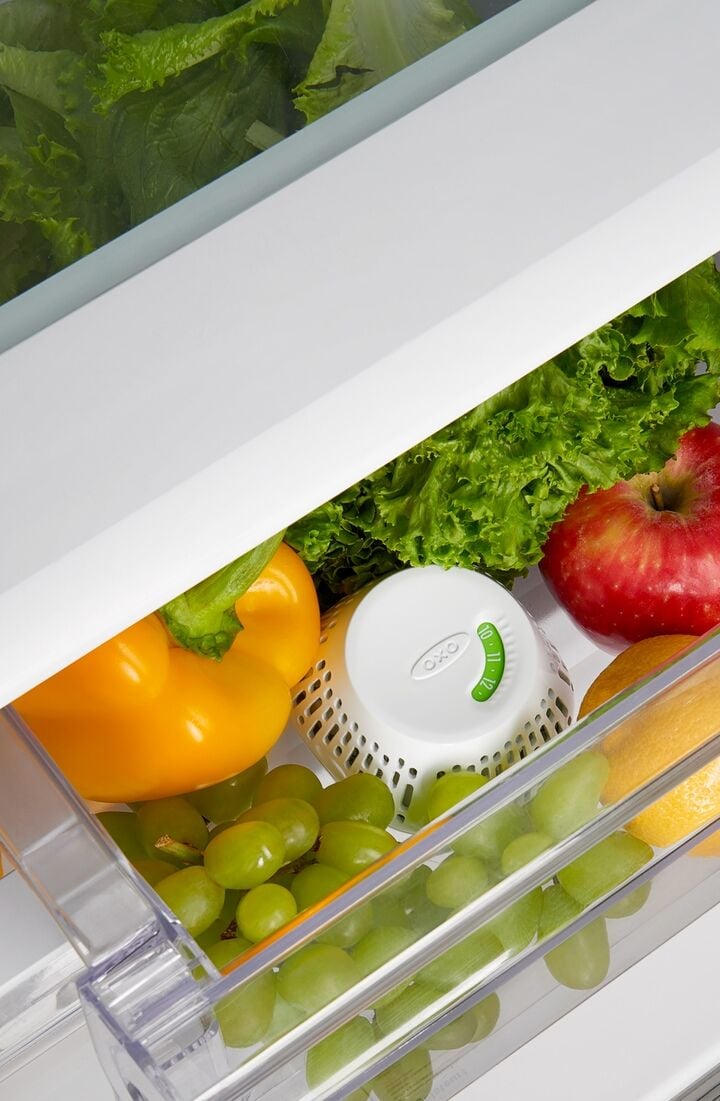 greensaver-standing-crisper-insert-1-pc-i1 gg_111212800_1b.jpg
