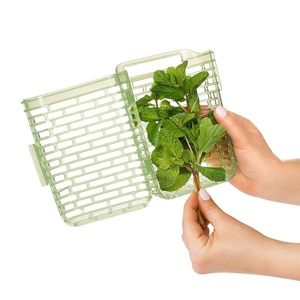 greensaver-herb-keeper-small-a6 gg_11212200_4.jpg
