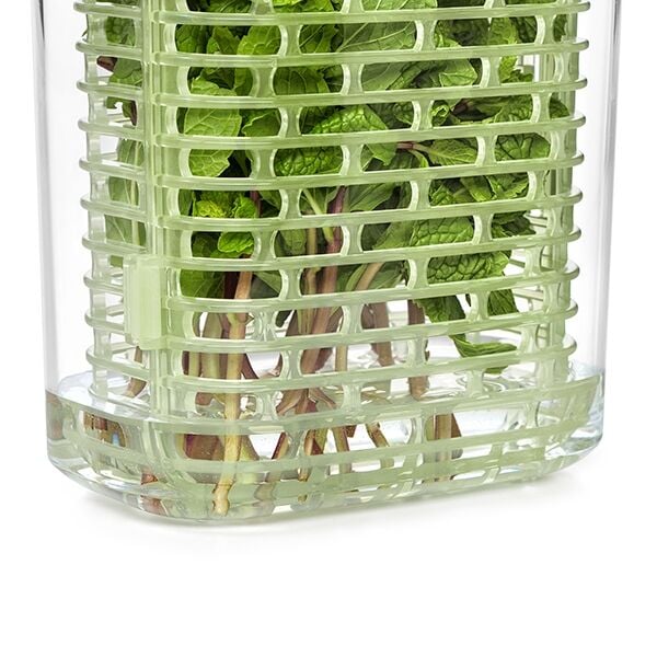 greensaver-herb-keeper-small-a6 gg_11212200_7.jpg
