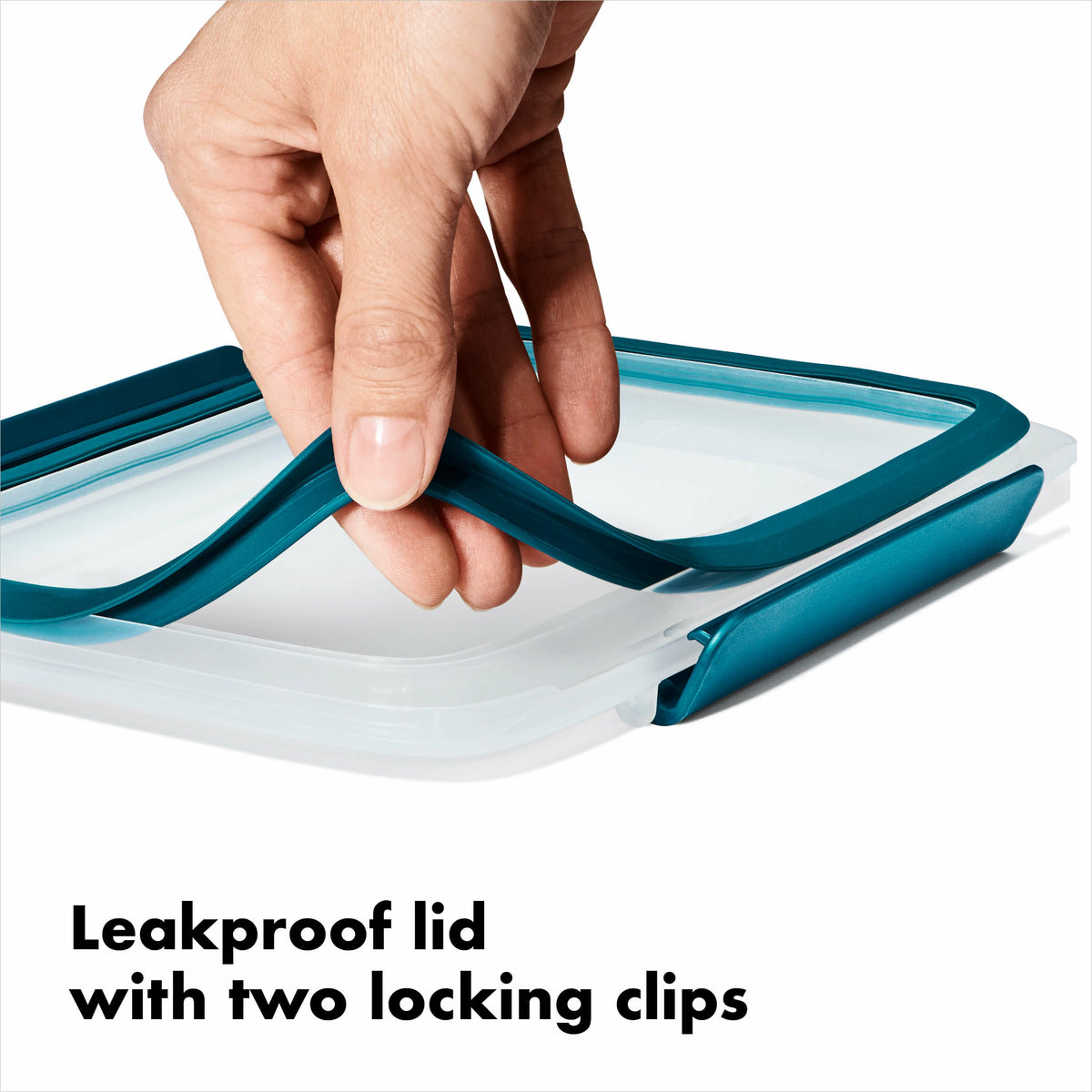 prep-and-go-sandwich-container-i2 gg_11301600_8a_1_.jpg