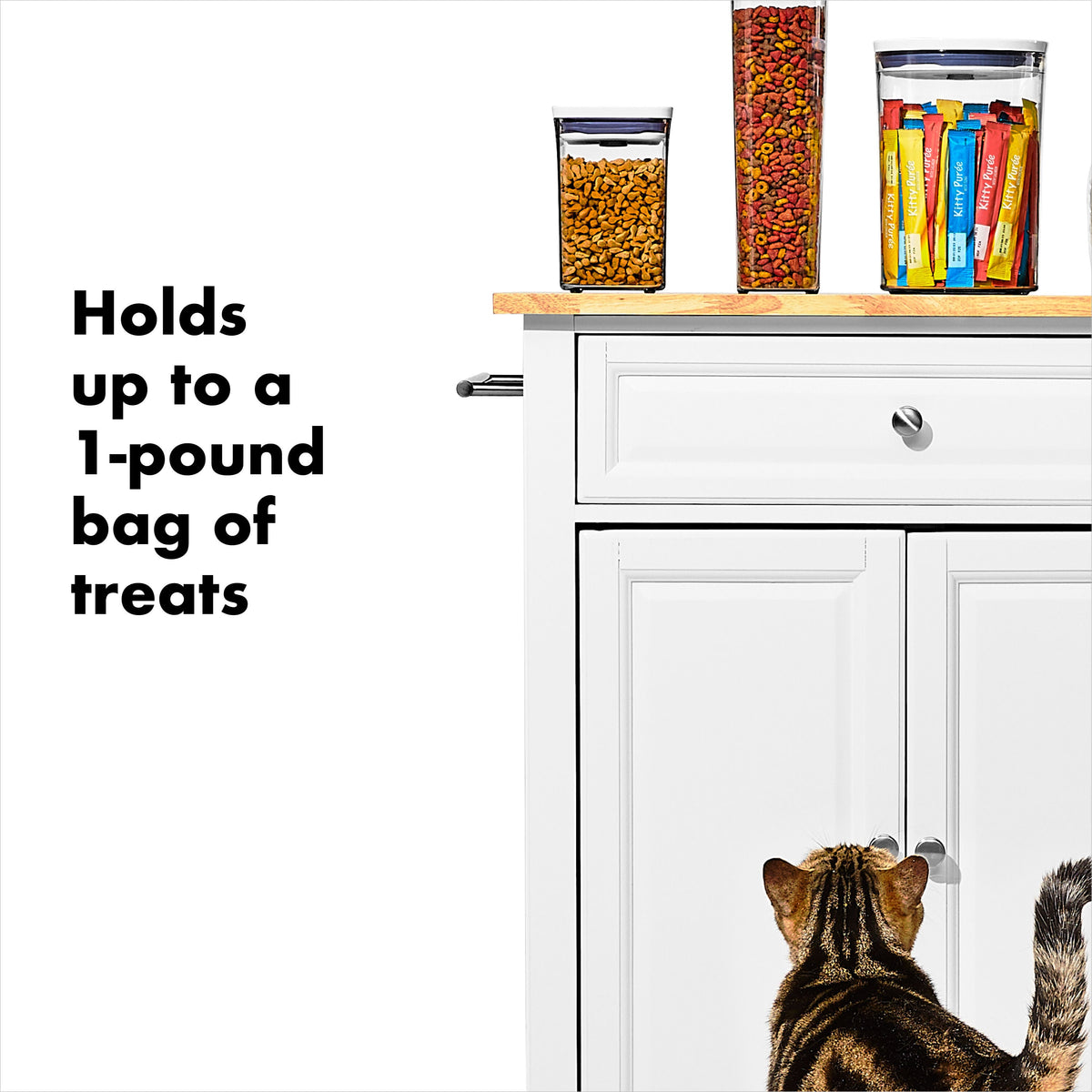 oxo-good-grips-pet-pop-container-1-1-qt-1-l-m6 gg_11332600_8.jpg