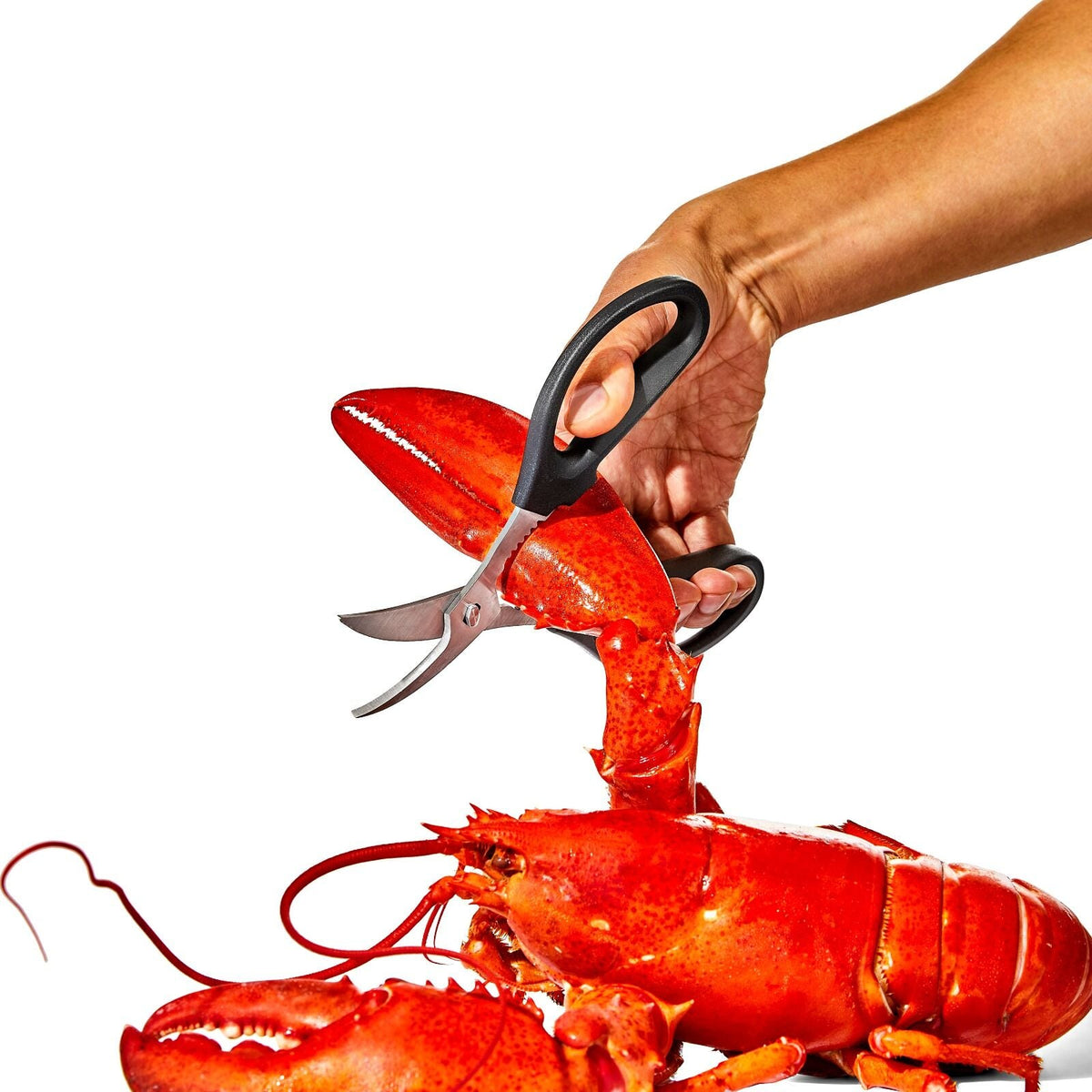 seafood-scissors-l3 gg_11350600_seafoodscissors_03_p.jpg