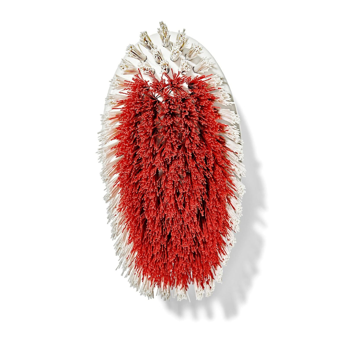 all-purpose-scrub-brush-2-pack-p0 gg_12426000_scrub-brush-2-pack_pdp_07.jpeg
