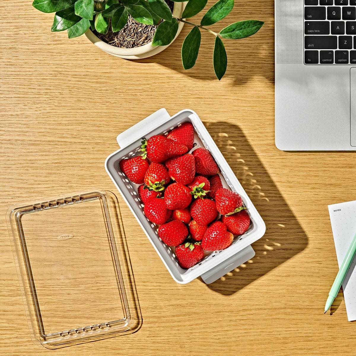 produce-saver-berry-keeper-2-piece-set-r0 gg_berry-keeper-produce-saver_pdp_01_1_.jpg