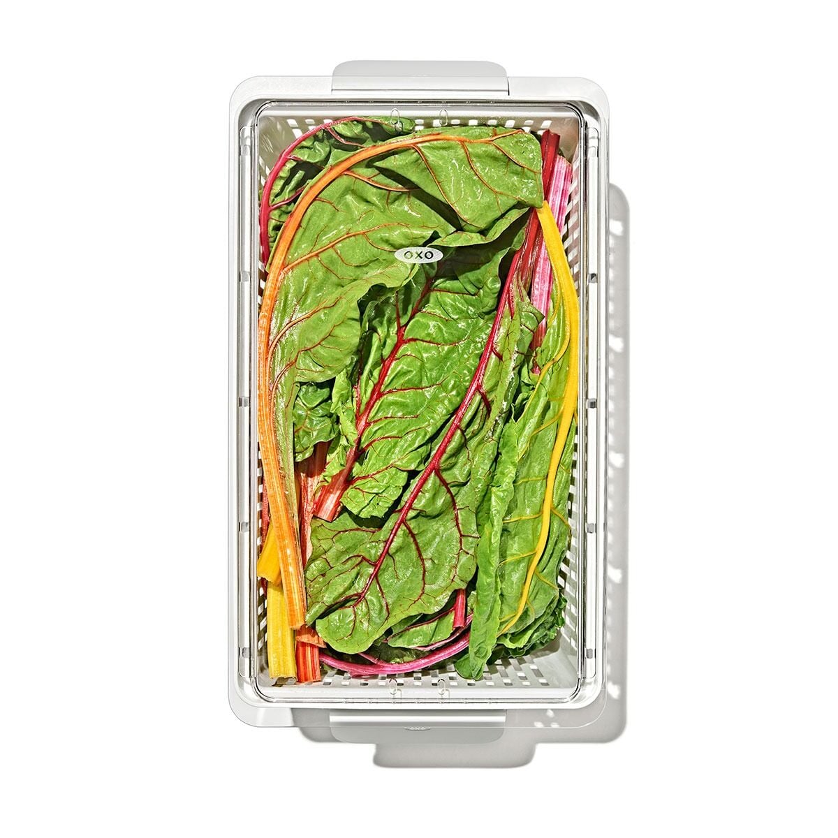produce-saver-large-bin-z8 gg_sw_produce-saver-large_10.jpg