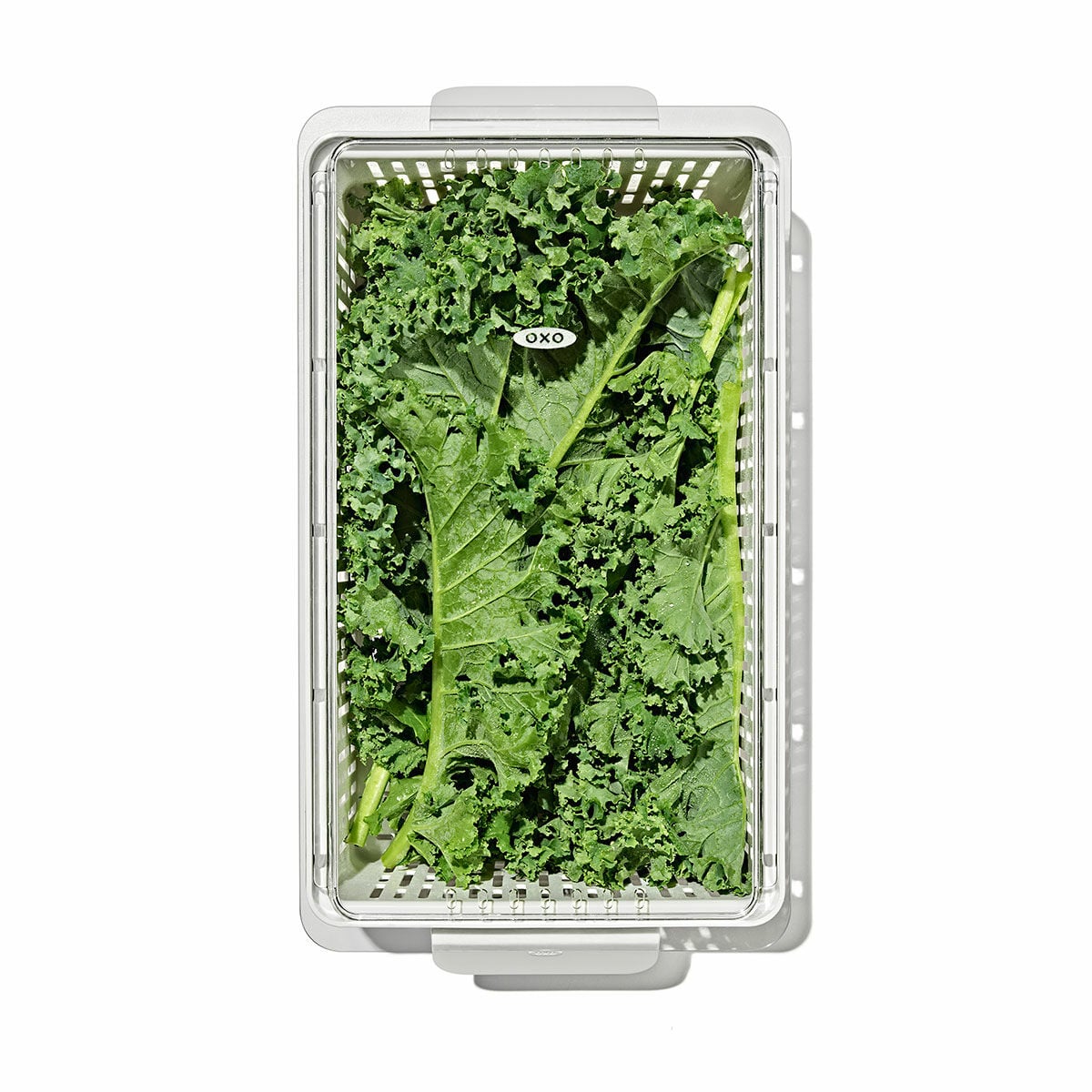 produce-saver-medium-bin-k9 gg_sw_produce-saver-medium_05.jpg