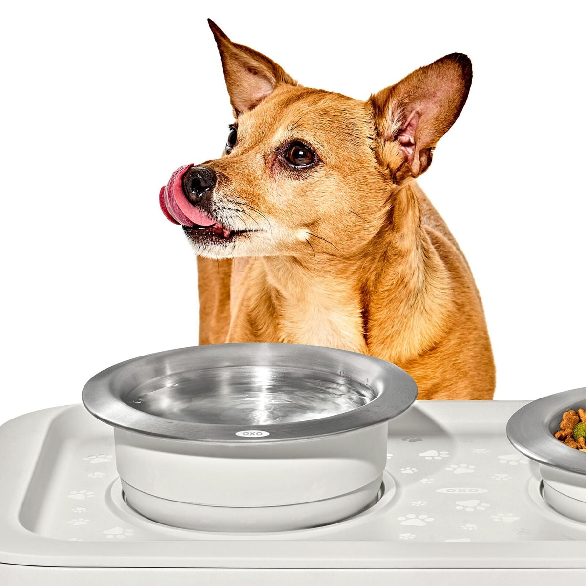 oxo-pet-nonslip-bowl-medium-2-cups-480-ml-k5 pet_7101900_nonslip-medium-bowl_pdp_02.jpeg
