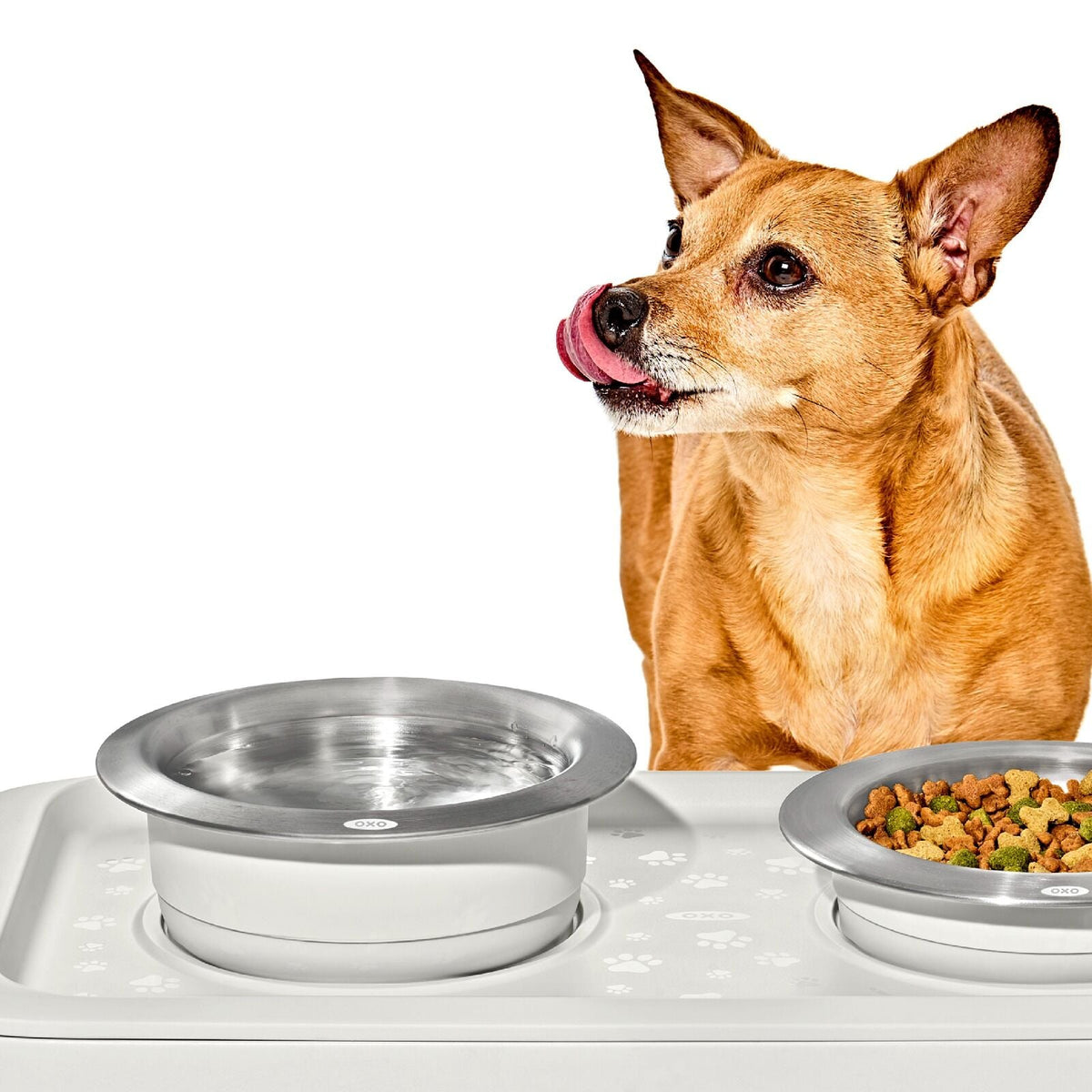 oxo-pet-nonslip-bowl-large-4-cups-950-ml-c3 pet_7102000_nonslip-large-bowl_pdp_02.jpeg