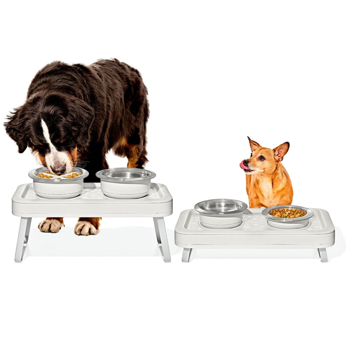 oxo-pet-adjustable-elevated-feeder-c0 pet_7102300_elevated-feeder_pdp_01.jpeg