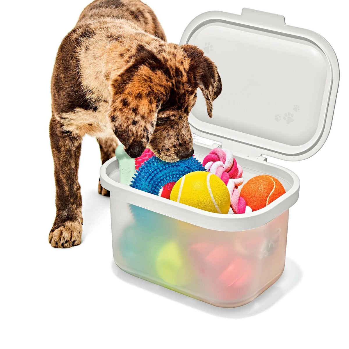 oxo-pet-multi-purpose-container-q5 pet_7301300_multi-purpose-container_pdp_06.jpeg