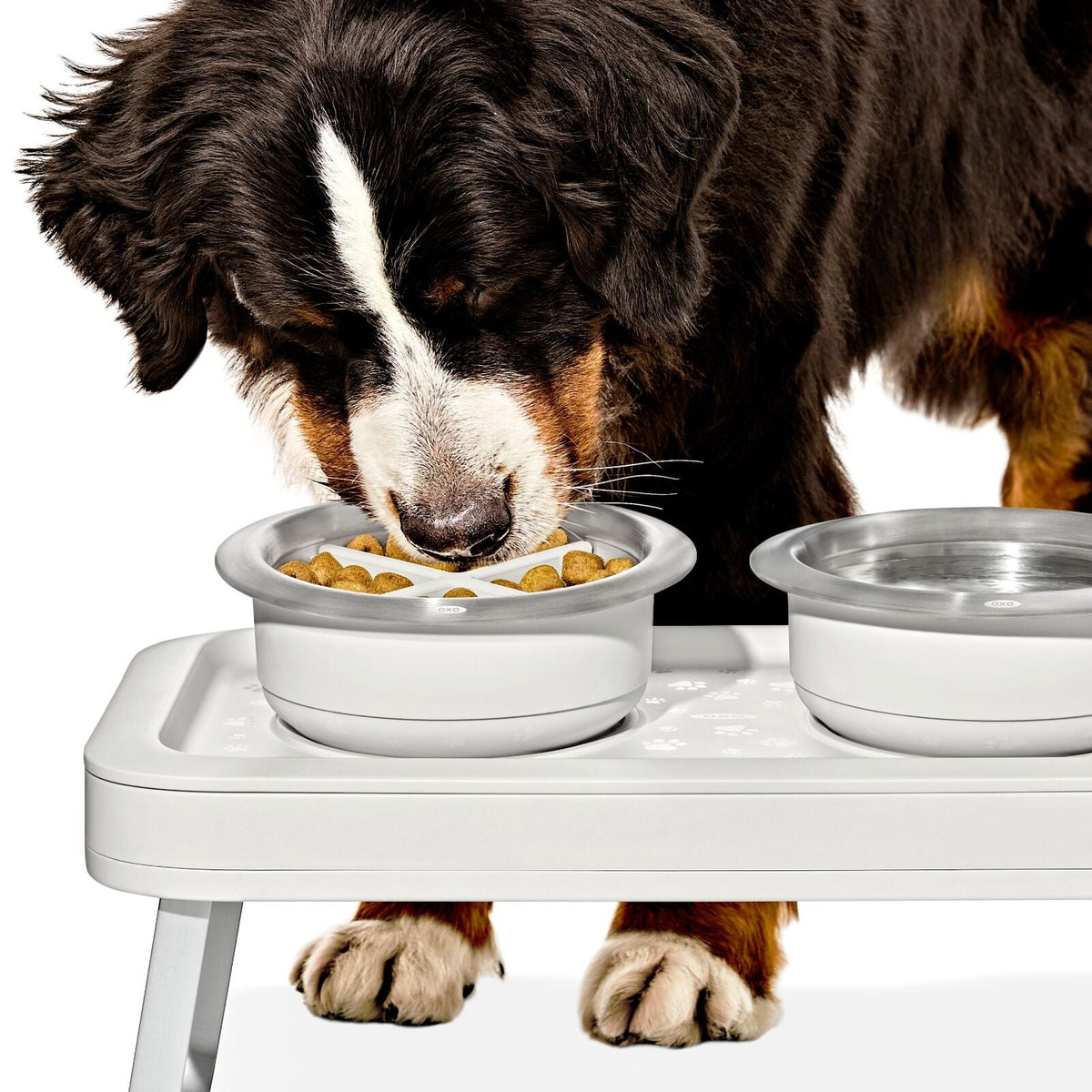 oxo-pet-easy-clean-slow-feeder-large-4-cups-950-ml-o3 pet_slow-feeder-medium-large_pdp_02.jpeg