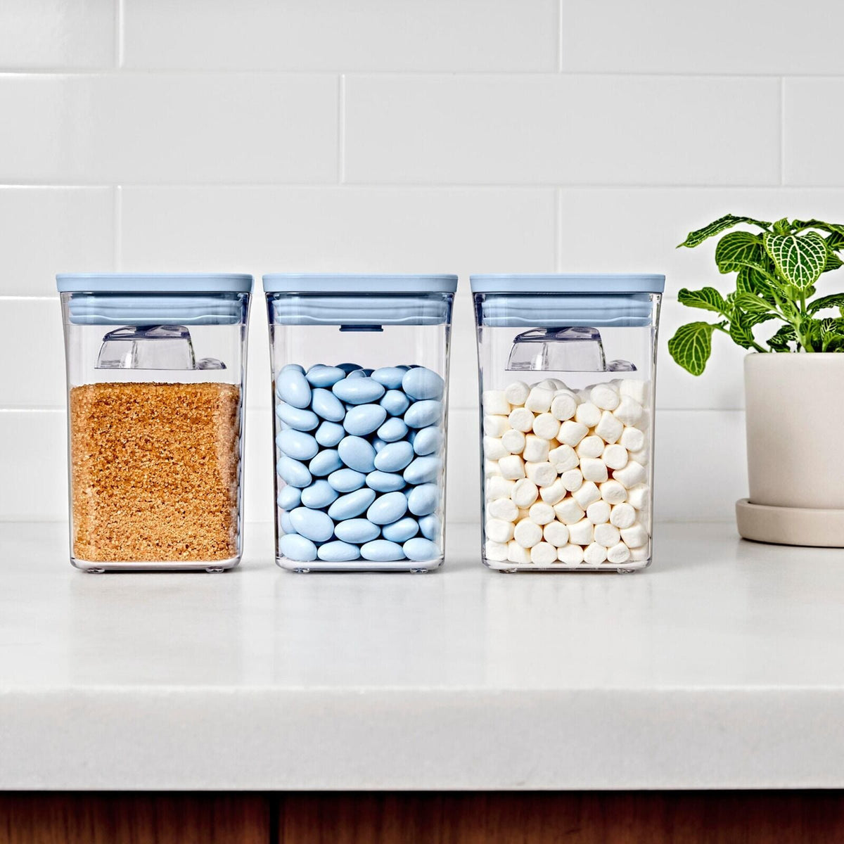3-piece-pop-container-set-with-mini-scoops-m1 pop_3pc-set-sky-blue_pdp_02.jpg