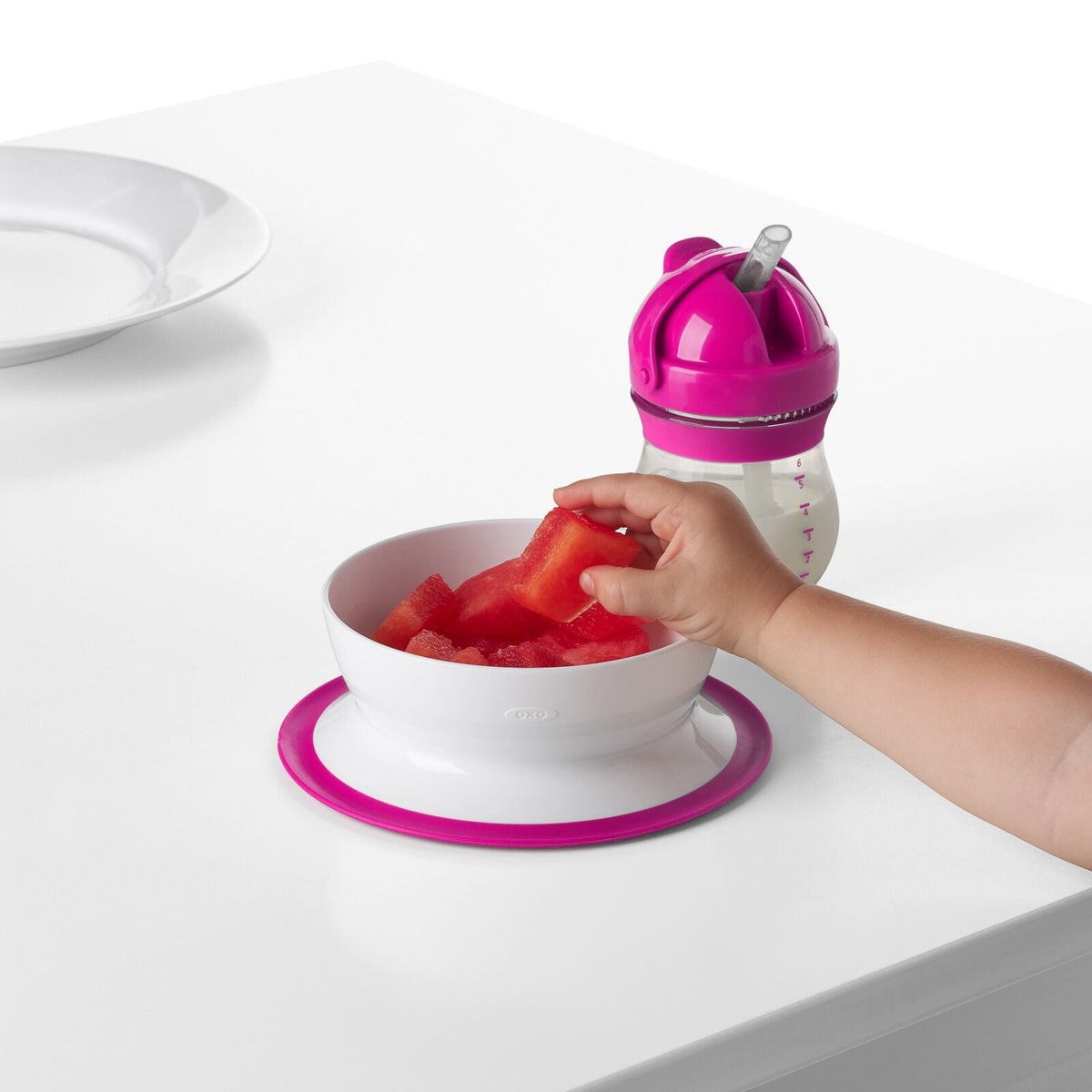 stick-and-stay-suction-bowl-t2 tot_61120500_4i.jpg