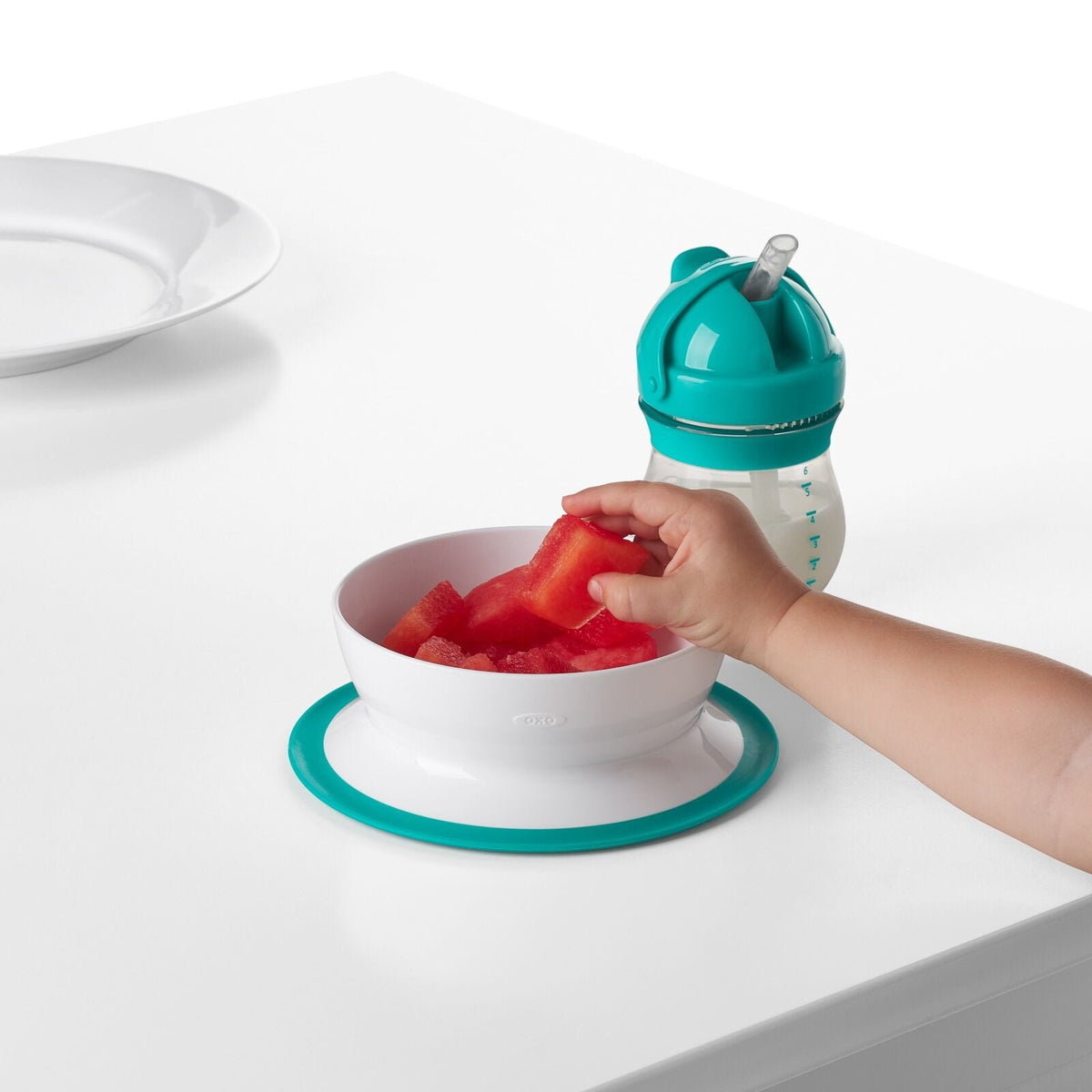 stick-and-stay-suction-bowl-y8 tot_61120600_4i.jpg